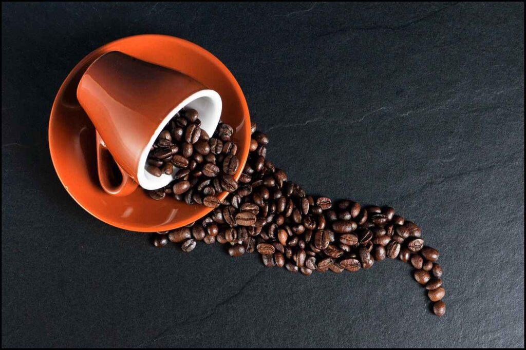Your Good friend Caffeine Fit Xplorer Coffee