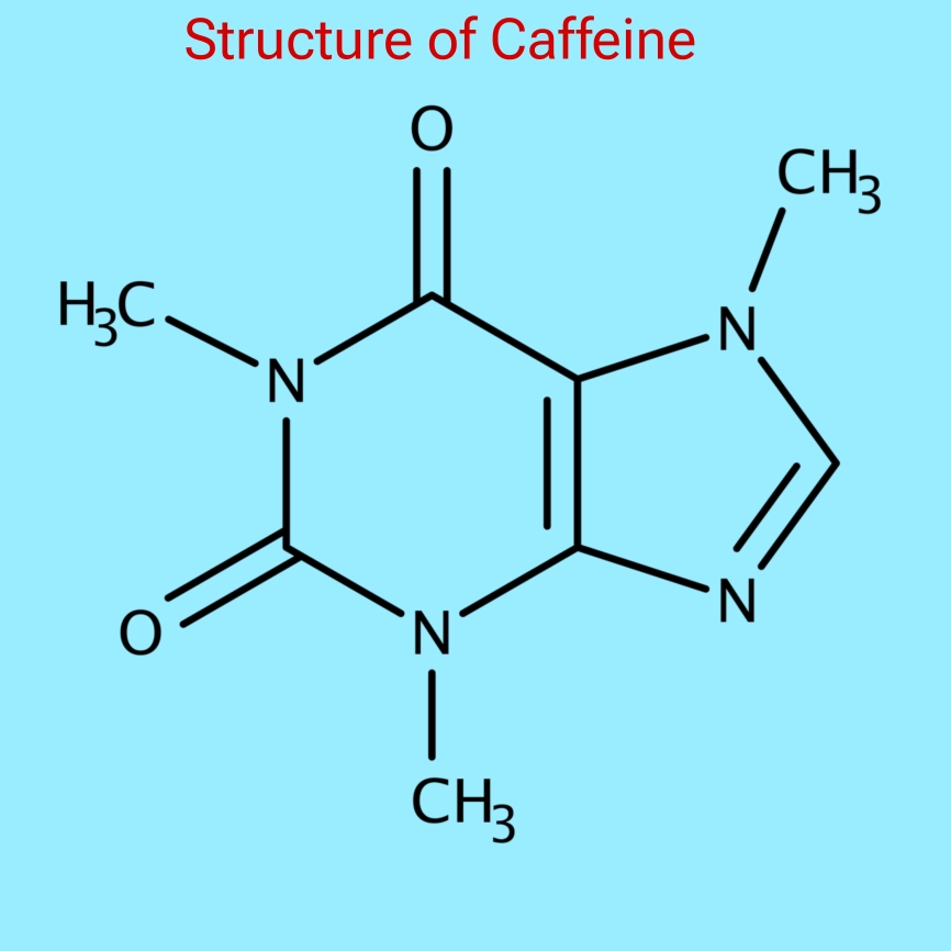Your Good friend Caffeine Fit Xplorer Structure